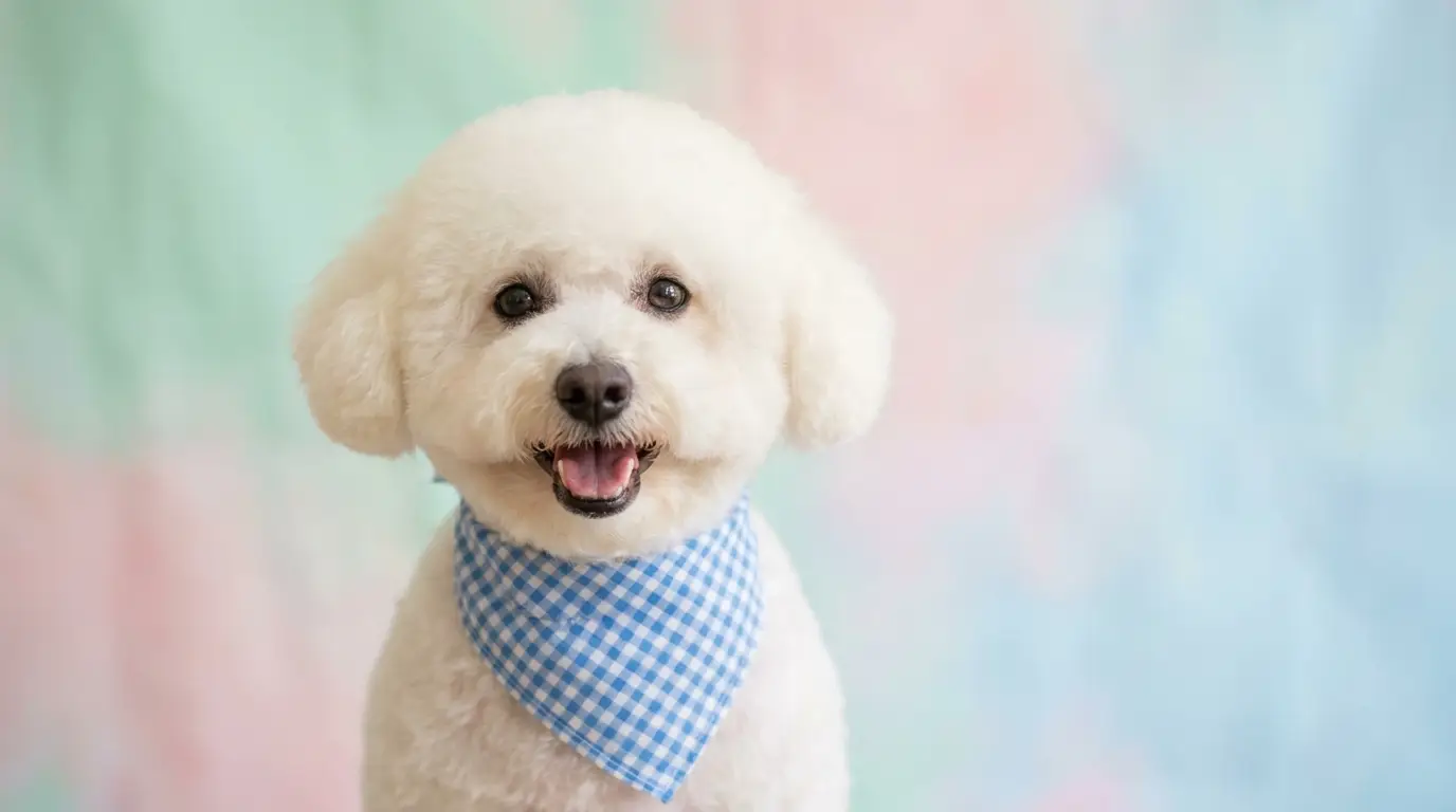 Happy dog with bandana